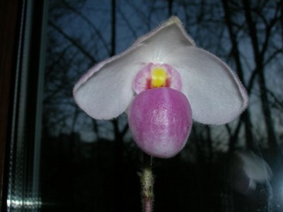 DSCN1581.JPG