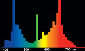 Спектр лампы OSRAM FLUORA 77
