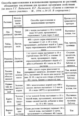 s-травы.jpg