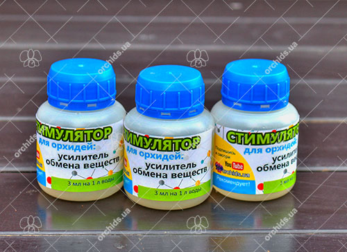 Эффективная подкормка орхидей