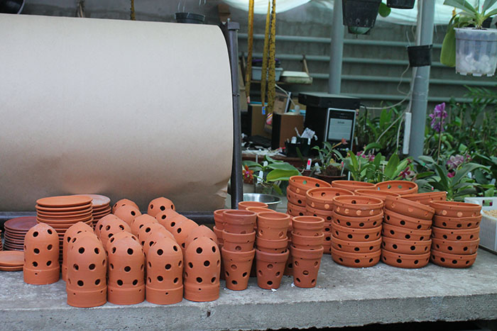 вазоны для орхидей.jpg