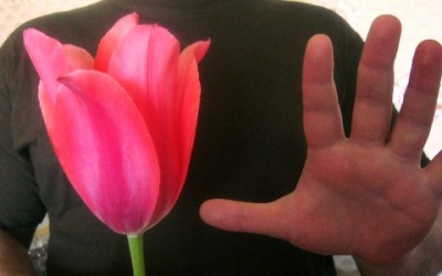 Picture 176.jpg