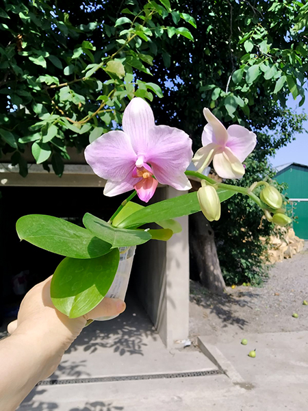 01.jpg
