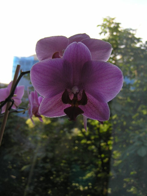 P1020009.JPG