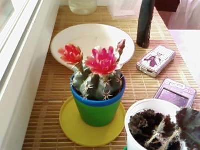 SP_A0163.jpg