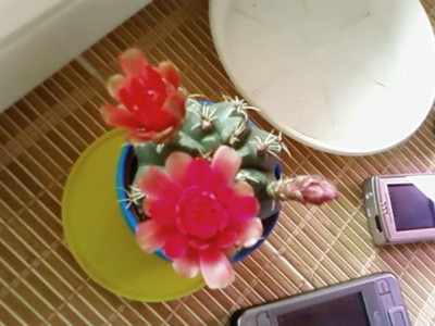 SP_A0164.jpg