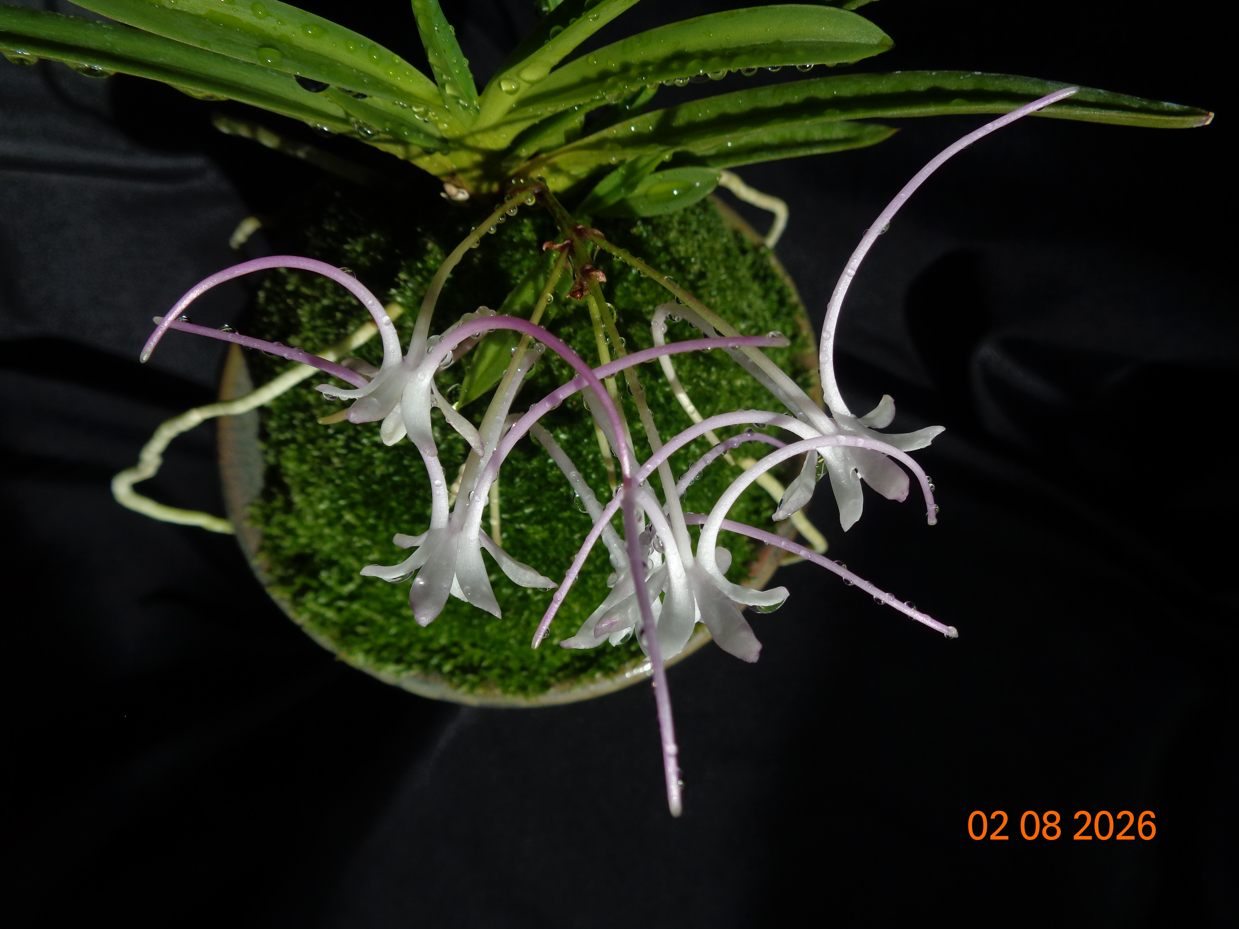DSC05883.JPG