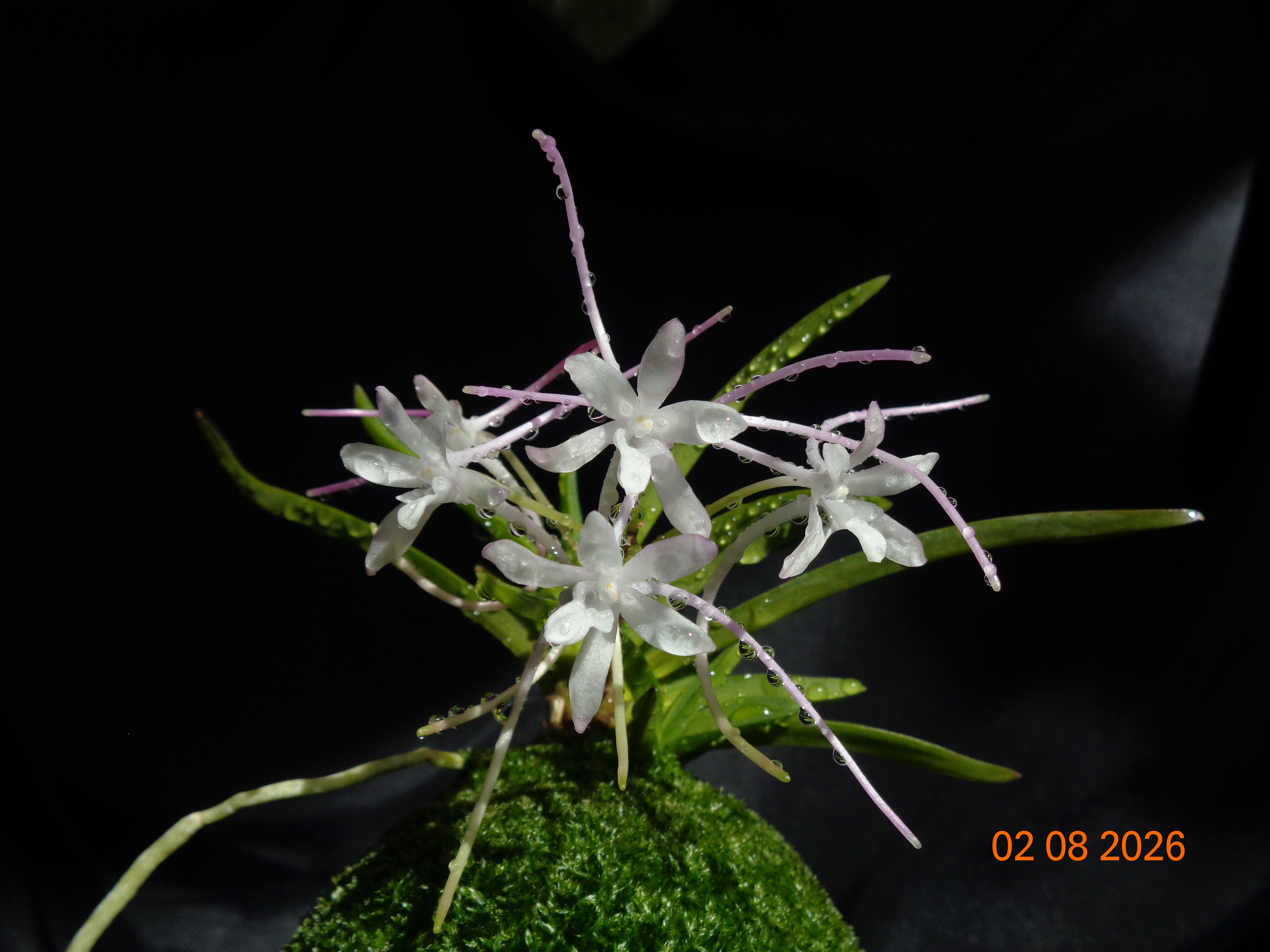 DSC05863.JPG