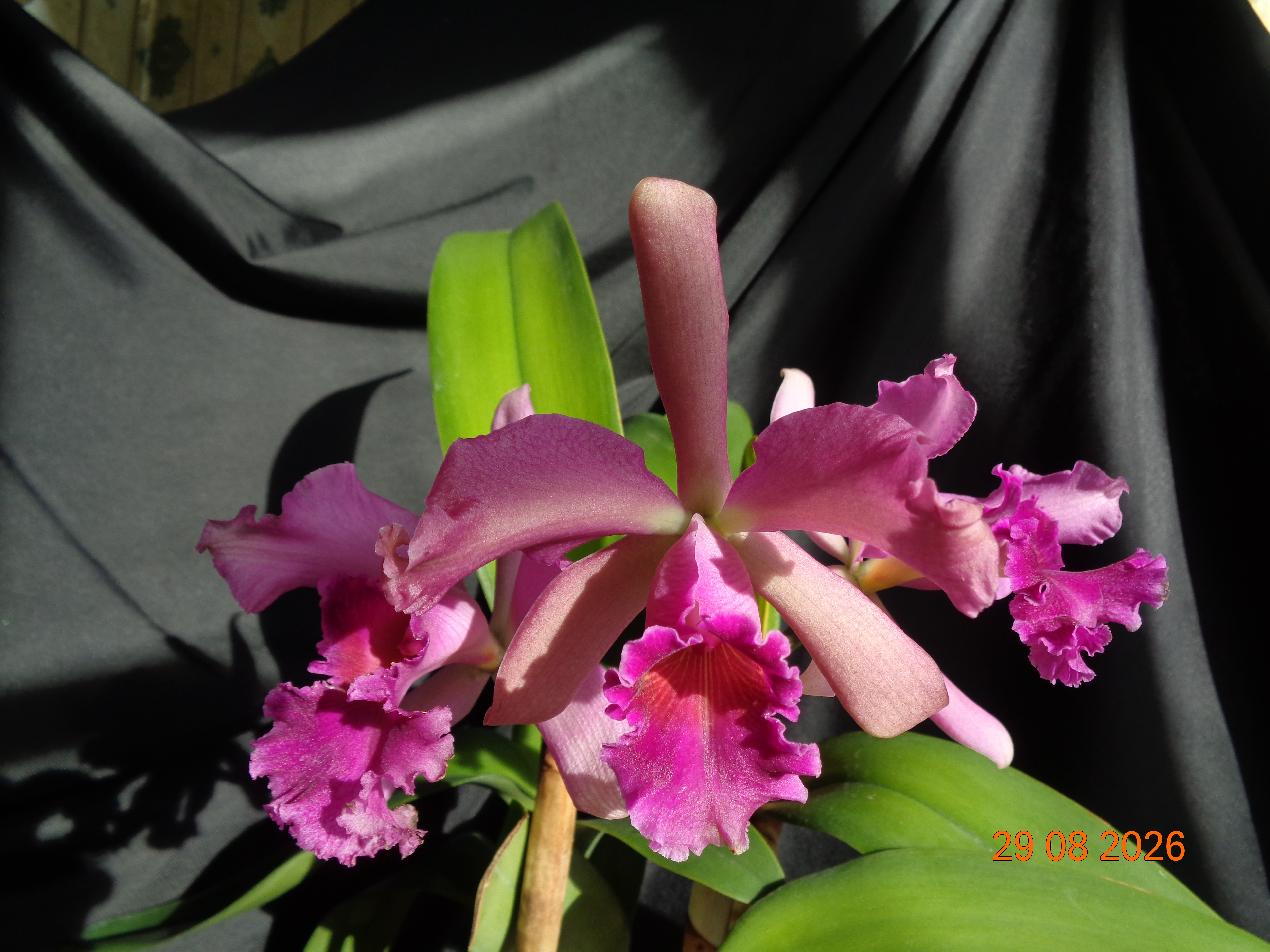 DSC06170.JPG
