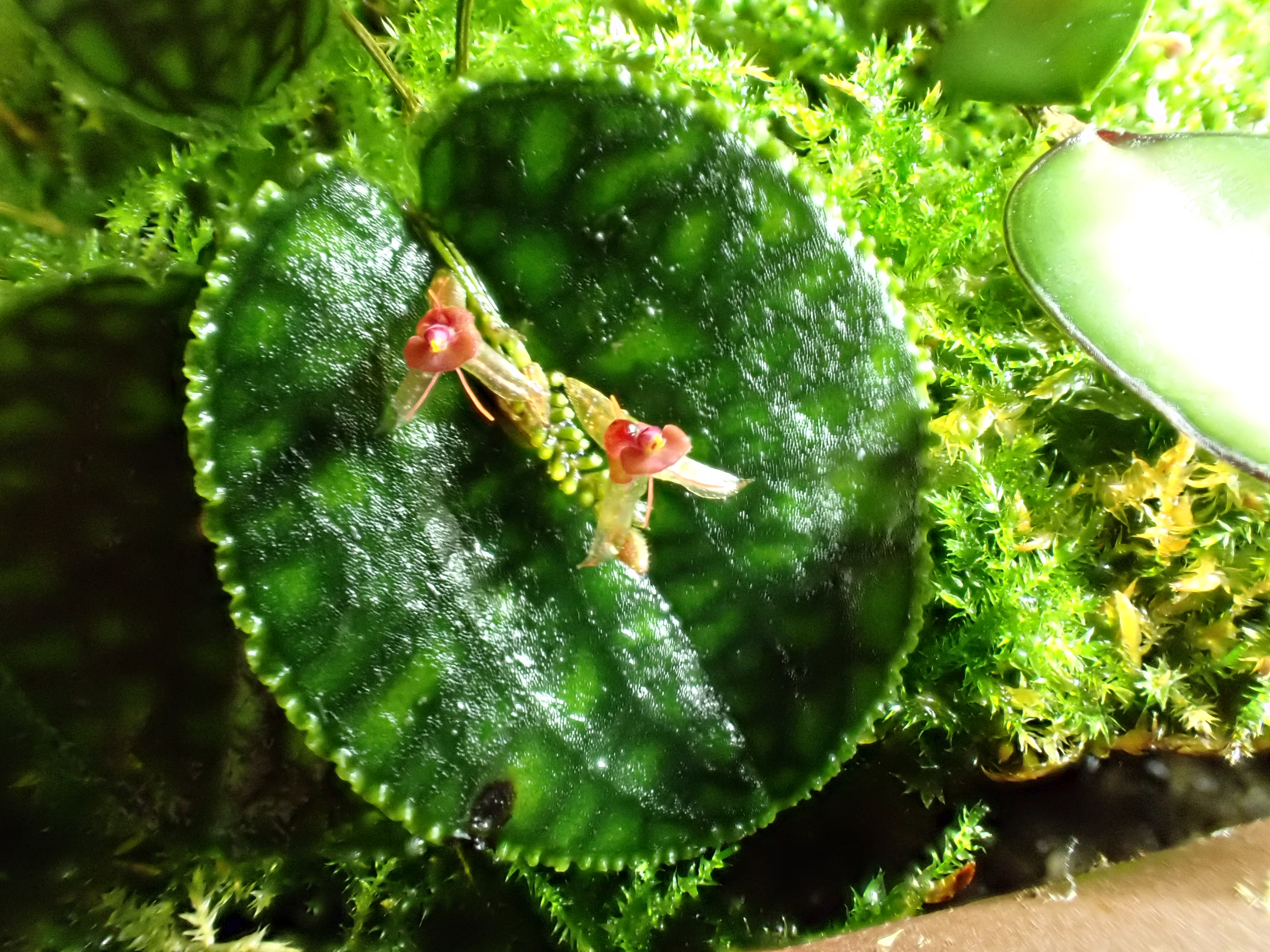 P9210032.JPG