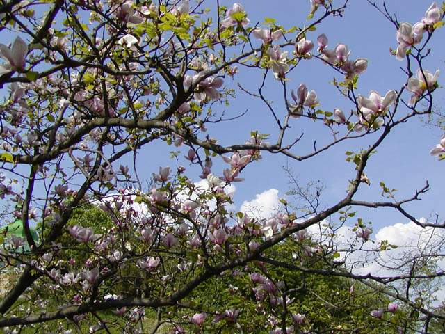 P1010016.JPG