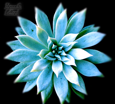 Эхверия (одна из многих), но далеко не последняя...