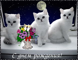 t3328.gif