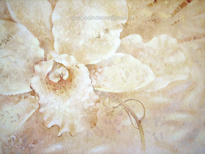 35912490_00139.jpg
