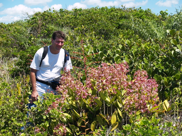 Habitat-C-guttata and B-tuberculata-003.jpg