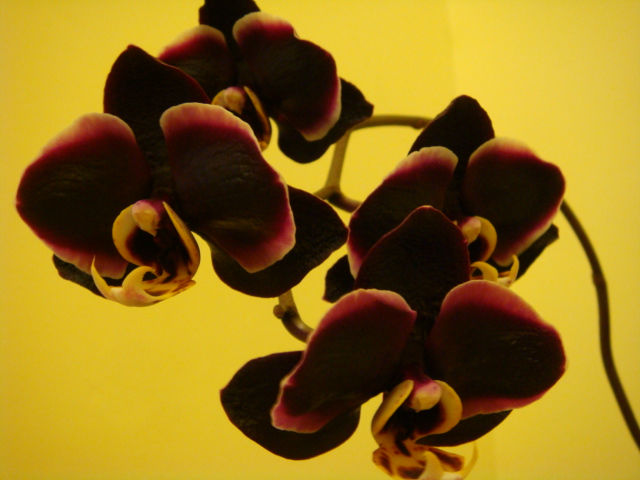 6DSC03030.JPG