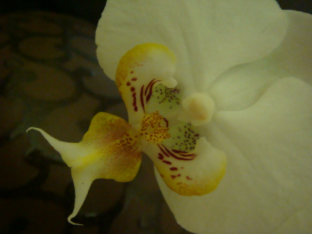 9DSC03036.JPG