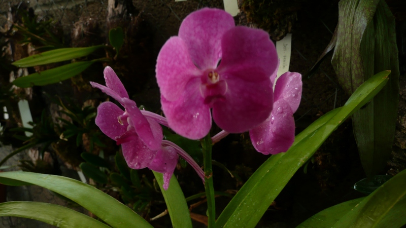 P1050815.JPG