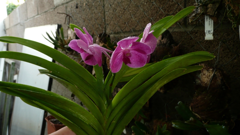 P1050816.JPG