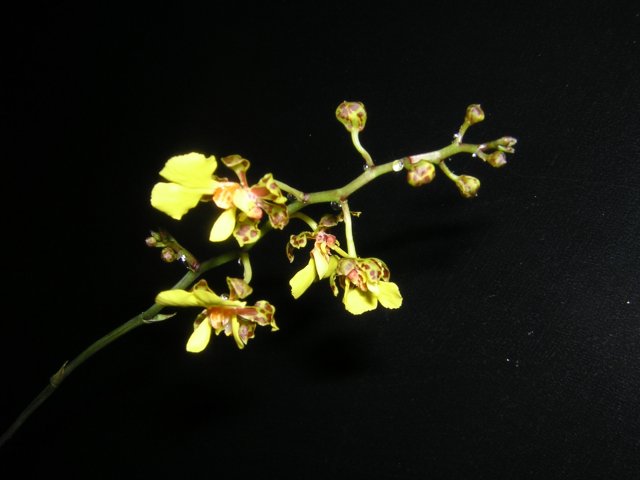 DSCN3482.jpg
