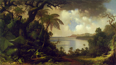 Ферн-Три Уолк, Ямайка [1870] Martin Johnson Heade.jpg