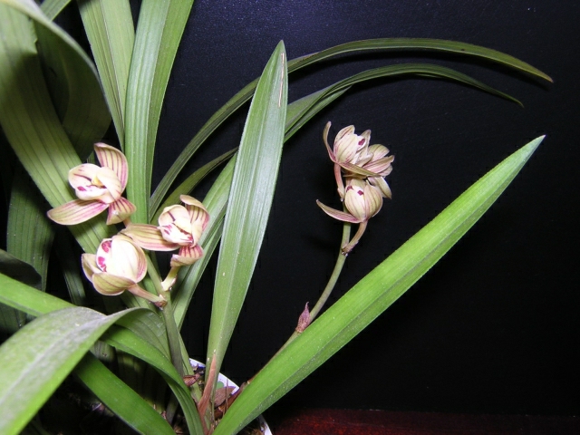 DSCN3630.jpg