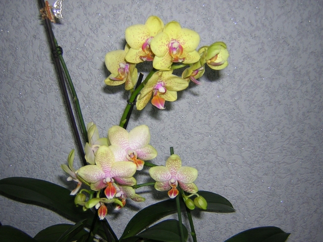 DSCN3678.jpg