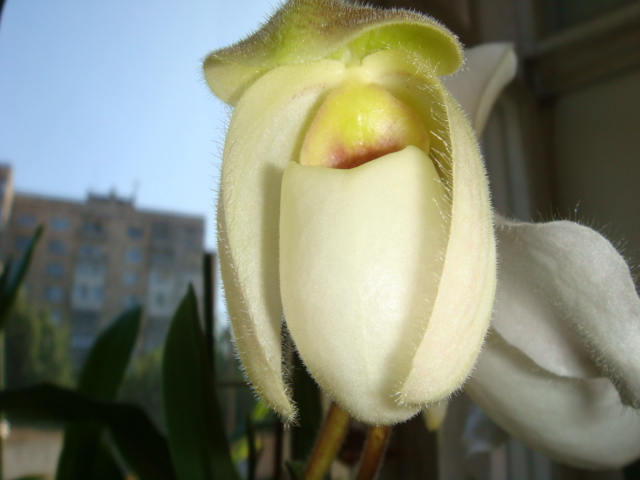 DSC03410.JPG