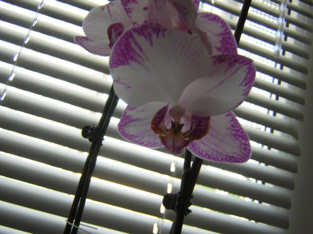 DSCN3800.jpg