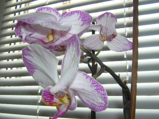 DSCN3804.jpg