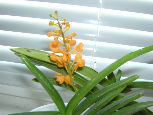 DSCN3799.jpg