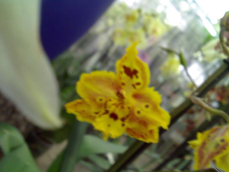 1113_155110.jpg