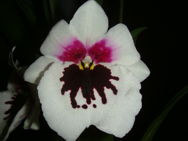 DSC04335.JPG