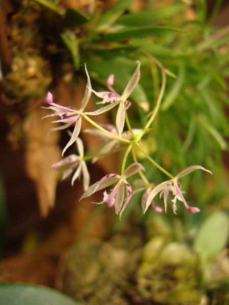 DSC04238  11.jpg