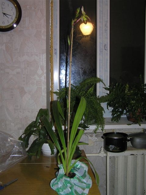 188.jpg
