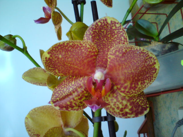 DSC00634.JPG