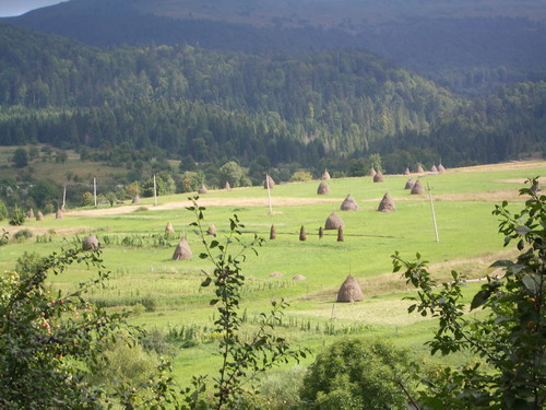 land 07.jpg