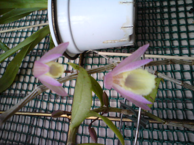 DSC00794.JPG