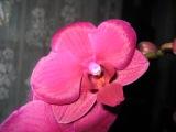 тадааааааааааааам!