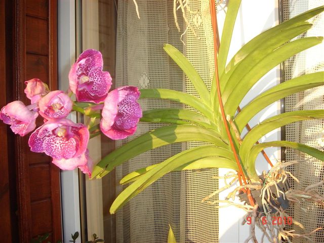 DSC00793.JPG