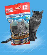 second_cat1.jpg