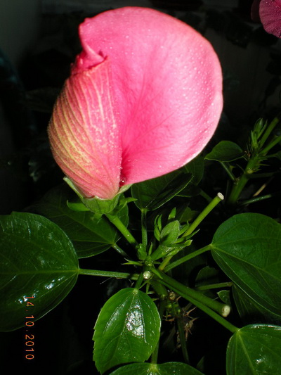 14.10.2010 013.jpg