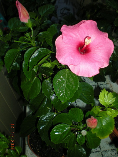 14.10.2010 016.jpg