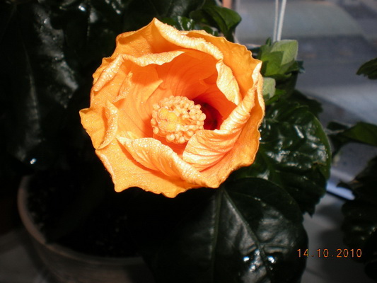 14.10.2010 019.jpg