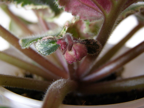 P9272190.jpg