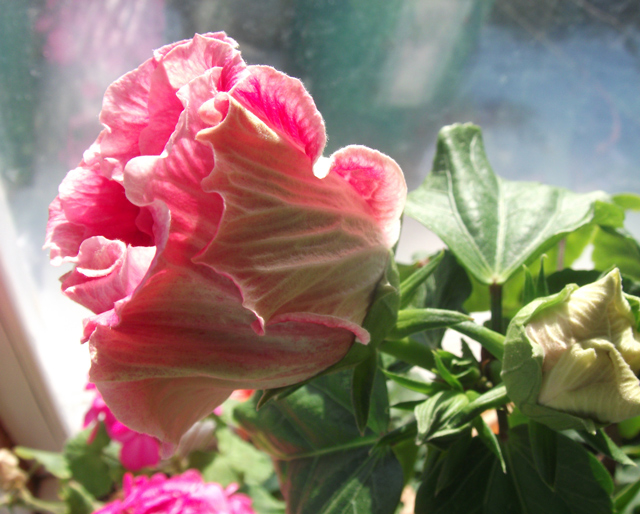 DSCF1014_.jpg