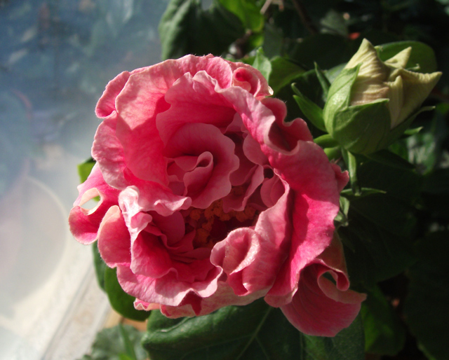 DSCF1016_.jpg