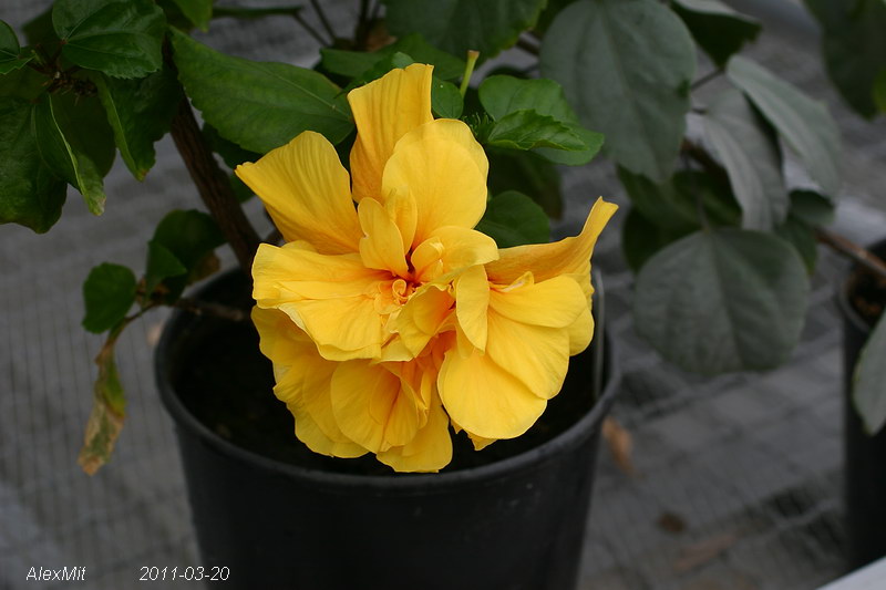 CRW_1394_RJs.JPG