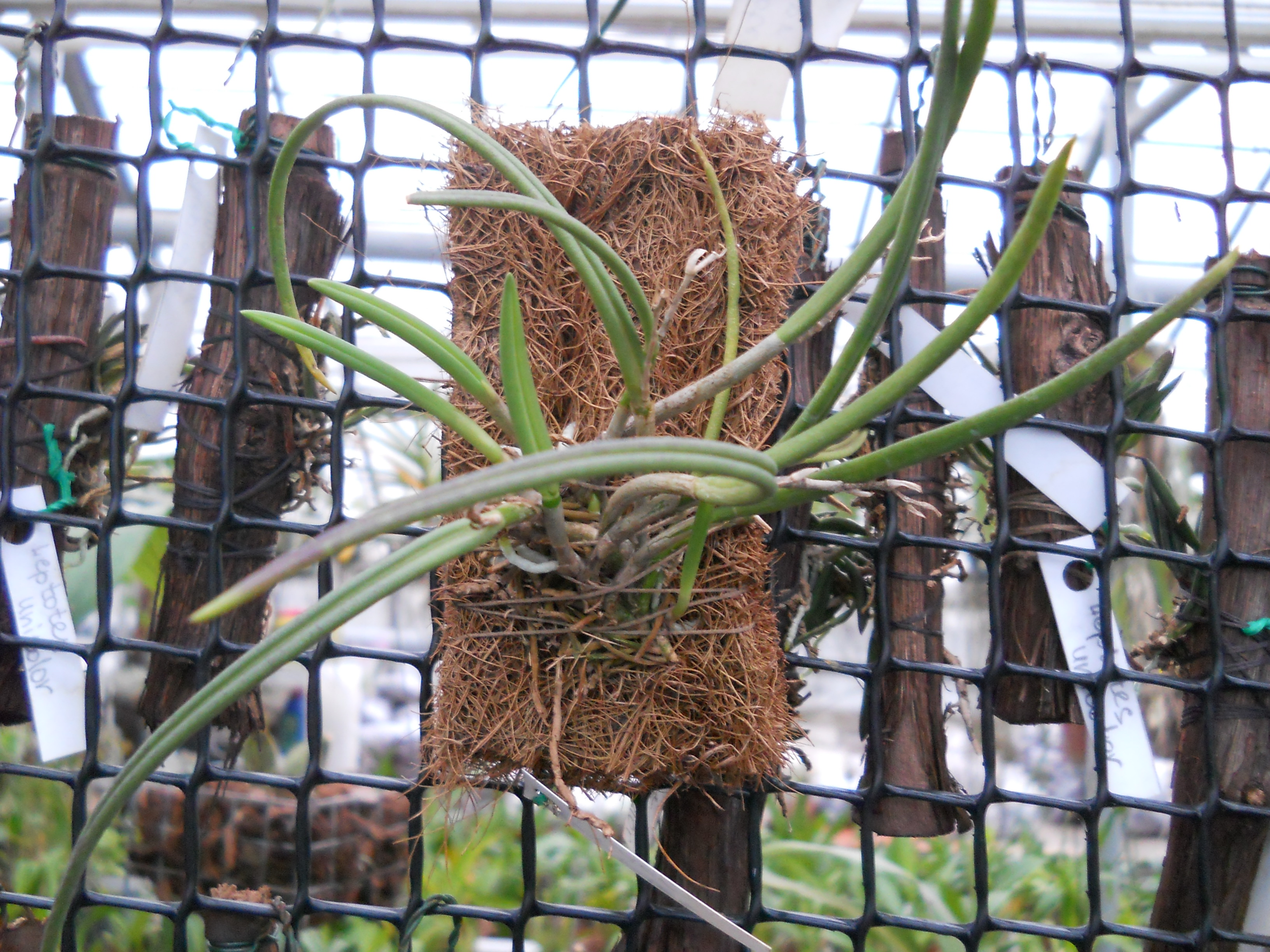 DSCN1278.jpg