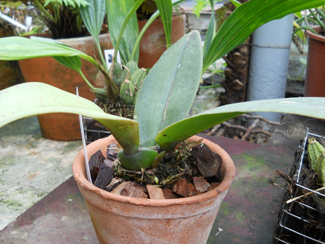 DSCN130402.jpg